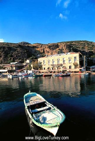 assos.jpg