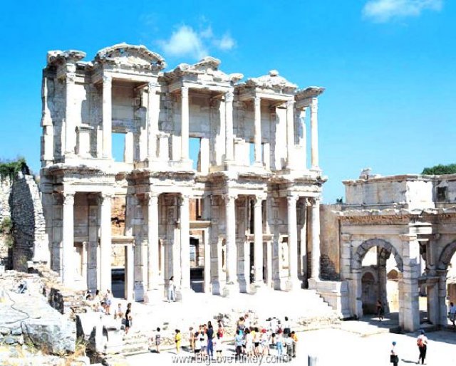 celcuslibrary2.jpg