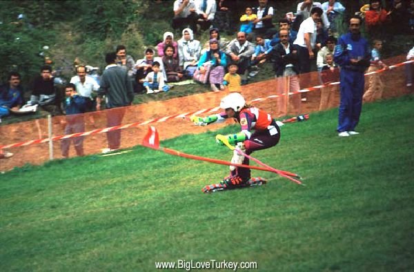 grassskiing.jpg
