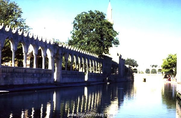 halilrahman1.jpg