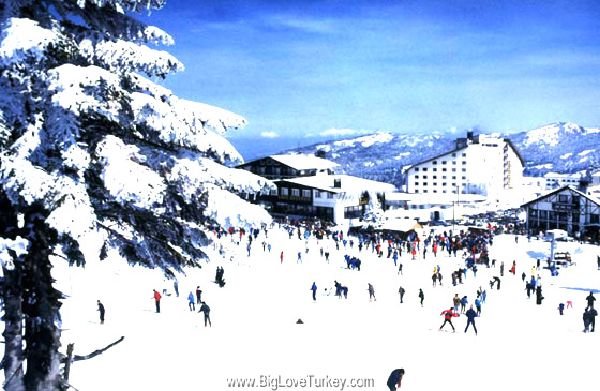 skiing2.jpg