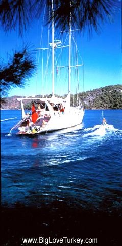 yachting.jpg