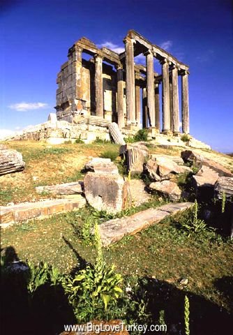 zeus2.jpg